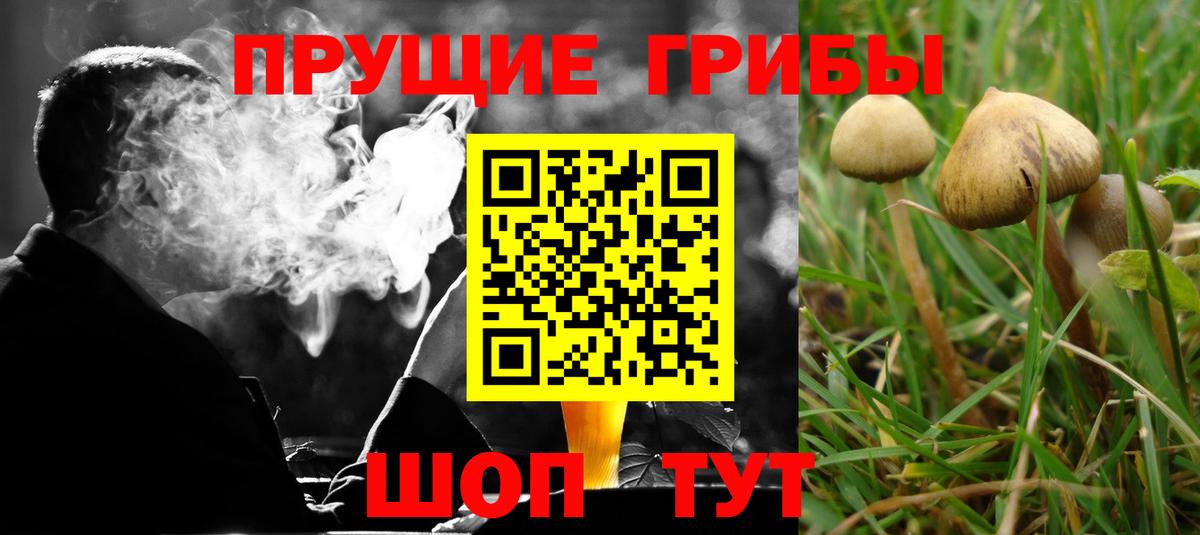 Псилоцибиновые грибы мухоморы Калуга